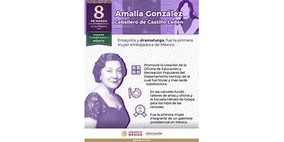 AMALIA GONZALEZ CABALLERO DE CASTILLO LEDON