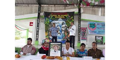 BEATRIZ ORDOÑEZ ACUÑA