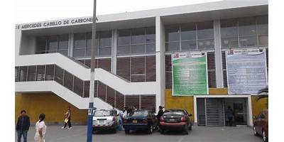 CARBONERA, LA