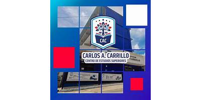 CARLOS A CARRILLO