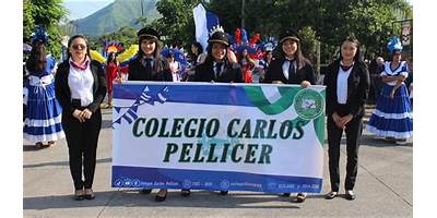 CARLOS PELLICER