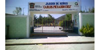 CARLOS PICHARDO CRUZ