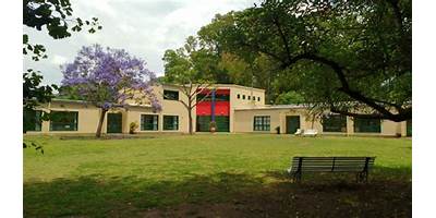 COLEGIO CEDI