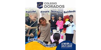 DORADOS DE VILLA 2799