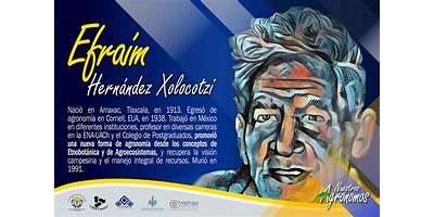 EFRAIN HERNANDEZ XOLOCOTZI