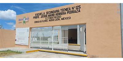 ESCUELA SECUNDARIA TECNICA 125