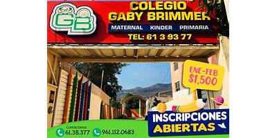 GABY BRIMMER