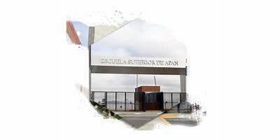 LA ABEJITA DE LOS LLANOS DE APAN