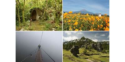 LAS FLORES DE ALPUYECA