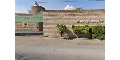 LOS GIRASOLES