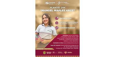 MANUEL MAPLES ARCE