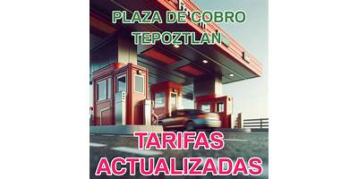 MARTIN BAZAN MARTELL
