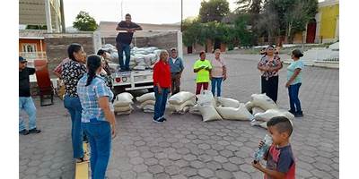 PRIMARIA COMUNITARIA