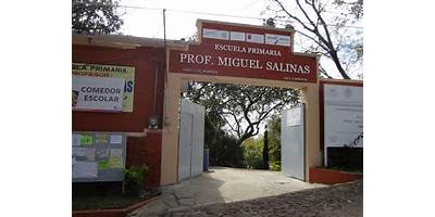 PROFR. MIGUEL SALINAS