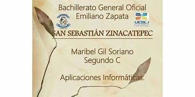 SAN SEBASTIAN ZINACATEPEC DIF