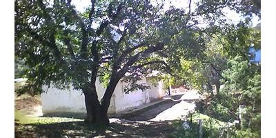 SECUNDARIA COMUNITARIA