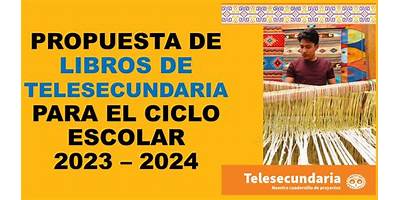 TELESECUNDARIA 313