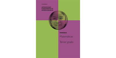 TELESECUNDARIA 538