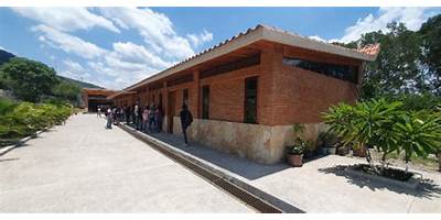 TEMANZINTLA