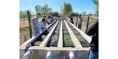TIEMPO DE CRECER - JARDIN INF. DIENTE FLOJO