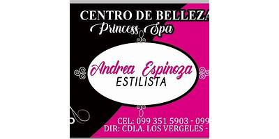 INSTITUTO DE BELLEZA PRINCESS LADY DIANA