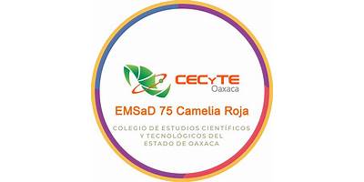 CECYTE EMSAD NUM. 17 "SAN JOSÉ DEL PACÍFICO"