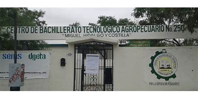 CENTRO DE BACHILLERATO TECNOLOGICO AGROPECUARIO NUM. 242