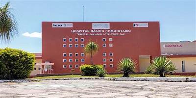CENTRO NUM. 100 SAN JUAN TAMAZOLA