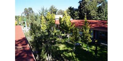 COLEGIO DE BACHILLERES DE TLAXCALA PLANTEL NUM. 17