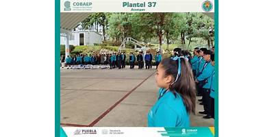 COLEGIO DE BACHILLERES PLANTEL 37