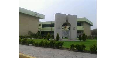 COLEGIO DE ESTUDIOS CIENTIFICOS Y TECNOLOGICOS DEL ESTADO DE GUANAJUATO PLANTEL MOROLEÓN