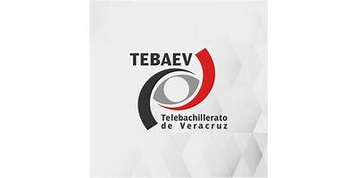 TELEBACHILLERATO LAS VIGAS DE RAMIREZ