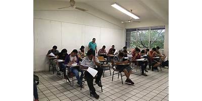 TELEBACHILLERATO NUM. 36