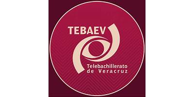 TELEBACHILLERATO SALINAS