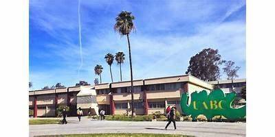 UNIVERSIDAD DE MEXICALI