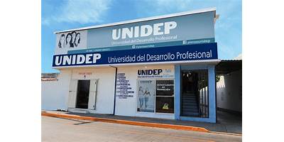 UNIVERSIDAD DEL DESARROLLO PROFESIONAL