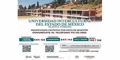 UNIVERSIDAD INTERCULTURAL DEL ESTADO DE MEXICO PLANTEL TEPETLIXPA