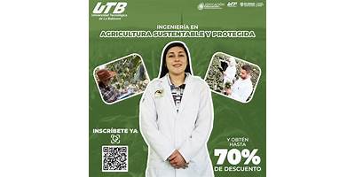UNIVERSIDAD TECNOLOGICA DE LA BABICORA