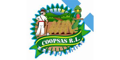 COPB ANEXO A EORM  MISION NACIONES UNIDAS