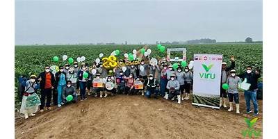 INGENIERIA SUPERIOR INGSUP