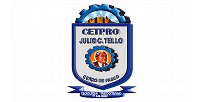 JULIO C. TELLO