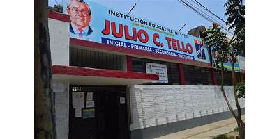 133 JULIO CESAR TELLO