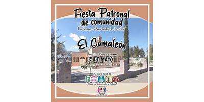 15 DE MAYO