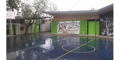 171-4 CONSUELO SOLEDAD CRISANTO SALINAS