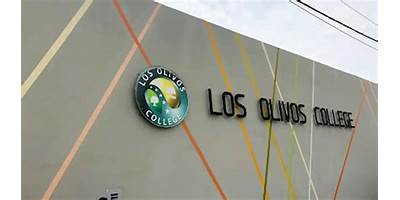 2005 LOS OLIVOS