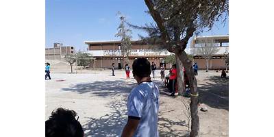 22646 CARLOS M. MEDRANO VASQUEZ