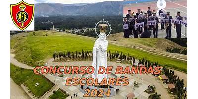 31548 FRANCISCO BOLOGNESI