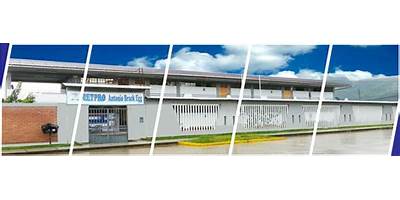 32140 ANTONIO BRACK EGG