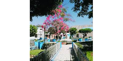 40303 MARGARITA VILLA DE MARQUEZ
