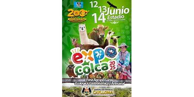 40374 ELIAS CACERES LOZADA